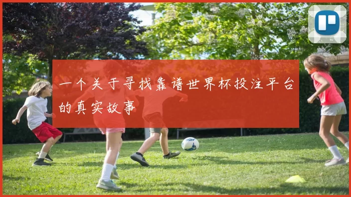 一个关于寻找靠谱世界杯投注平台的真实故事