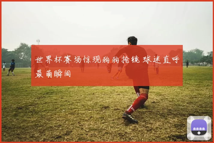 世界杯赛场惊现狗狗抢镜 球迷直呼最萌瞬间