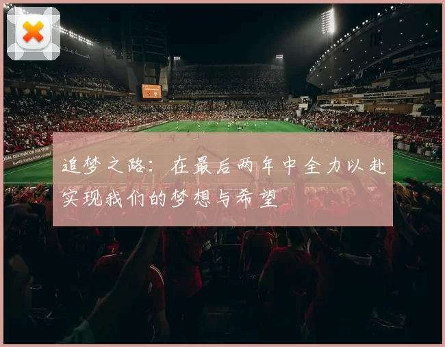 追梦之路:在最后两年中全力以赴实现我们的梦想与希望