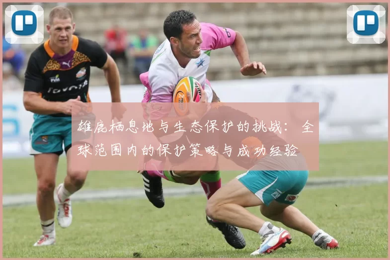 雄鹿栖息地与生态保护的挑战：全球范围内的保护策略与成功经验