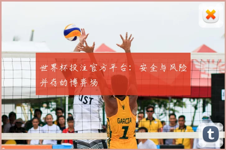 世界杯投注官方平台：安全与风险并存的博弈场