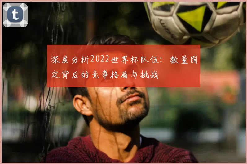 深度分析2022世界杯队伍:数量固定背后的竞争格局与挑战