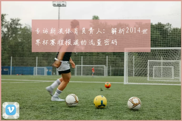 专访新浪体育负责人：解析2014世界杯赛程报道的流量密码