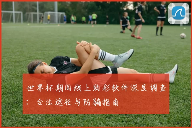 世界杯期间线上购彩软件深度调查：合法途径与防骗指南
