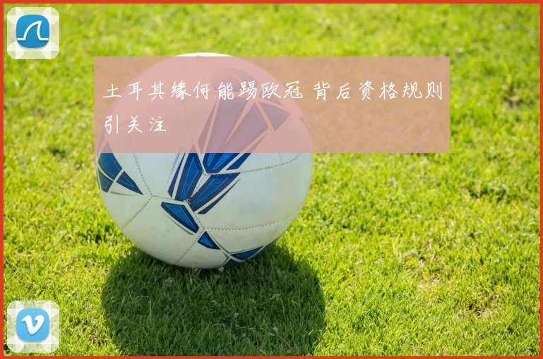 土耳其缘何能踢欧冠 背后资格规则引关注