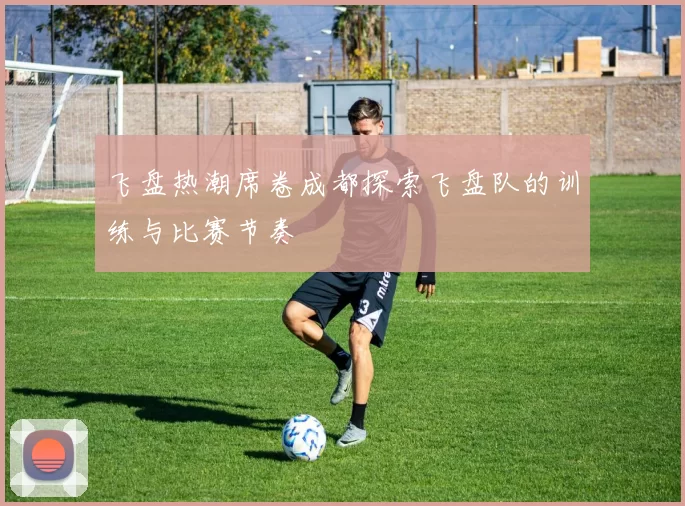 飞盘热潮席卷成都探索飞盘队的训练与比赛节奏