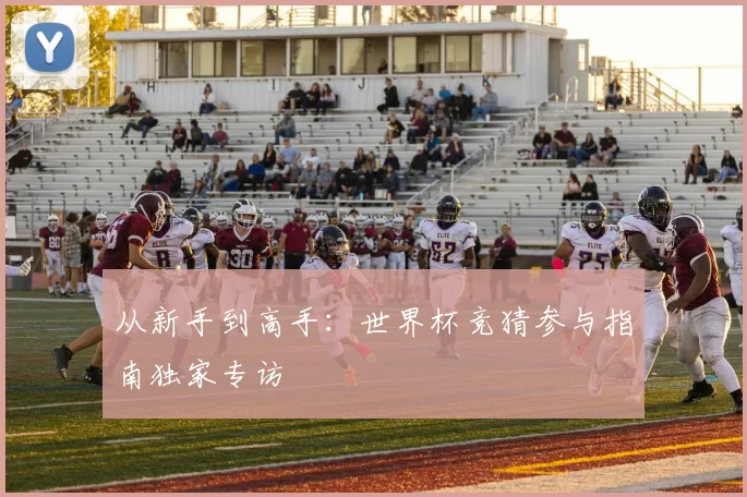 从新手到高手:世界杯竞猜参与指南独家专访