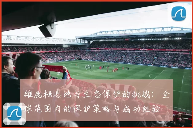 雄鹿栖息地与生态保护的挑战：全球范围内的保护策略与成功经验