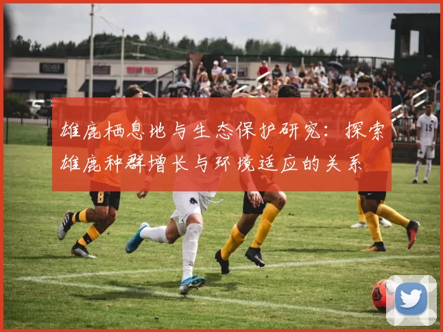雄鹿栖息地与生态保护研究：探索雄鹿种群增长与环境适应的关系
