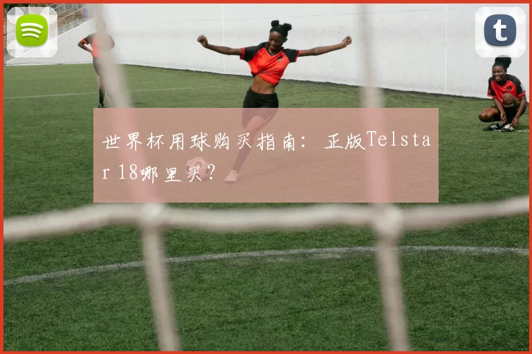 世界杯用球购买指南：正版Telstar 18哪里买？